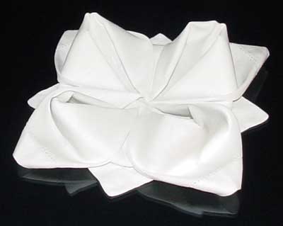 Instructions for Rose Napkin Fold