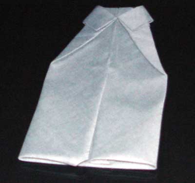Napkin Fold #9