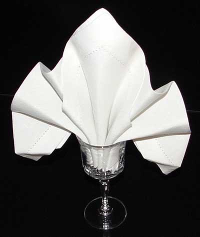 Napkin Fold #6