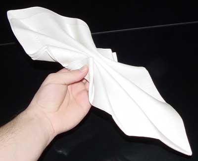 Napkin Fold #4