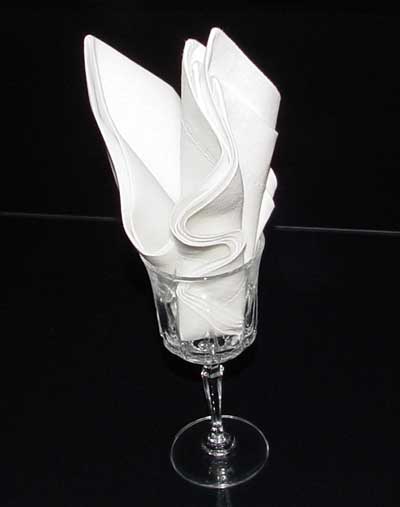 Napkin Fold #6