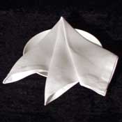The French Napkin Fold
