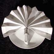The Napkin Ring Fan Fold