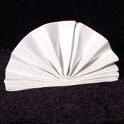 The Standing Fan Napkin Fold