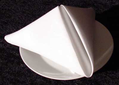 Pyramid napkin folding deals