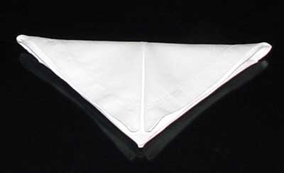 Napkin Fold #7