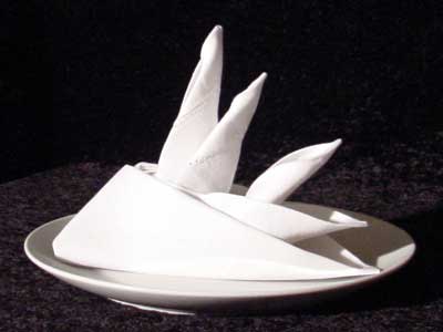 Bird Of Paradise napkin folding directions