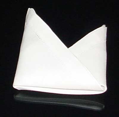 Napkin Fold #10