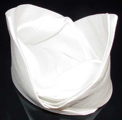 Napkin Fold #11