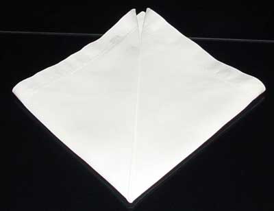 Napkin Fold #5