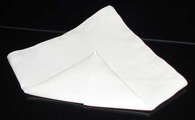 Napkin Fold #7