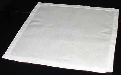 Napkin Fold #1