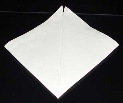 Napkin Fold #5