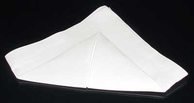 Napkin Fold #6