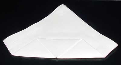 Napkin Fold #7