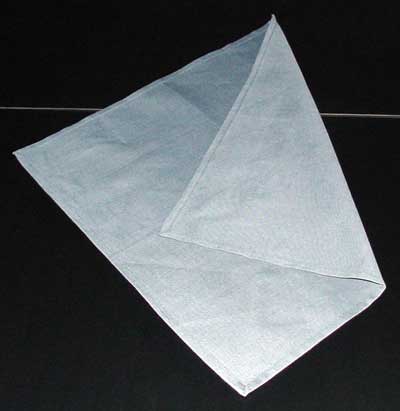 Napkin Fold #2