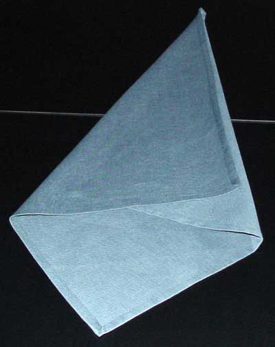 Napkin Fold #3