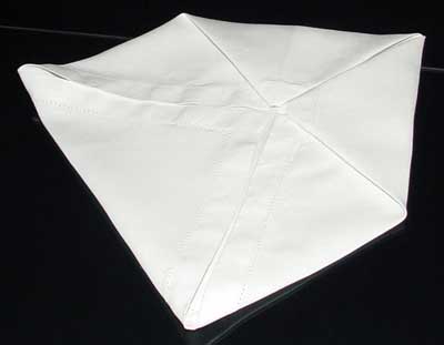 Napkin Fold #4