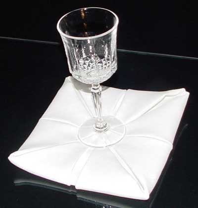 Napkin Fold #7