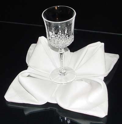 Napkin Fold #8