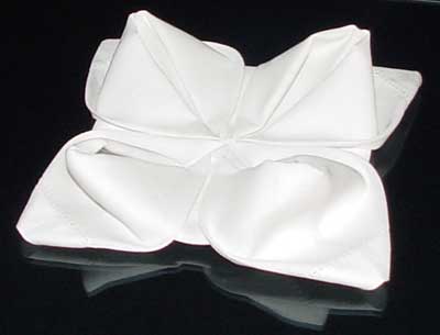 Napkin Fold #9