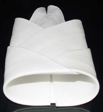 Napkin Fold #9