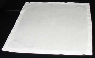 Napkin Fold #1