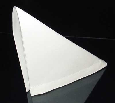 Finished Napkin Fold
