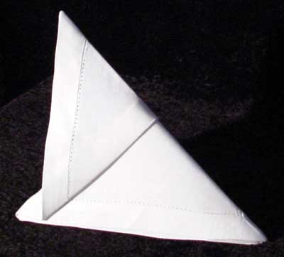Slide Folded Napkin