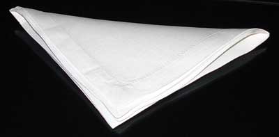 Napkin Fold #5