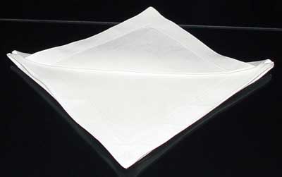 Napkin Fold #6