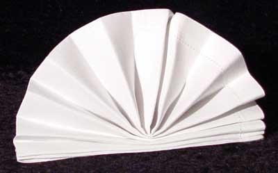 The Standing Napkin Fan Fold