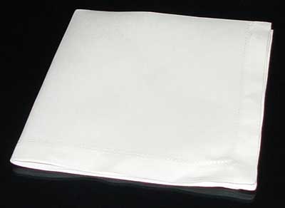 Napkin Fold #3