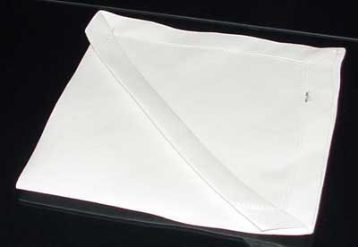 Napkin Fold #5