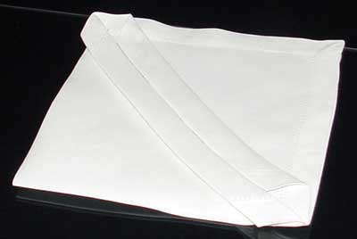 Napkin Fold #6