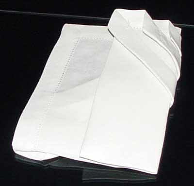 Napkin Fold #9