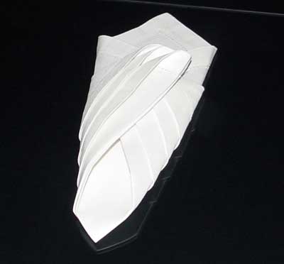 Napkin Fold #9