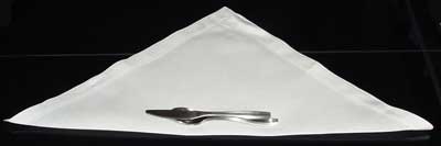 Napkin Fold #3