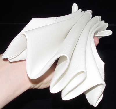 Napkin Fold #5